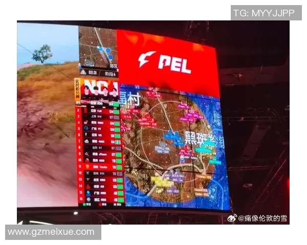 和平精英赛场分析JDG战队控制策略的优缺点及其影响