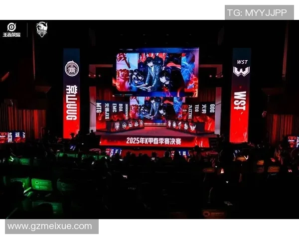 王者荣耀赛事深度解析WE战队的战术节奏与团队协作策略